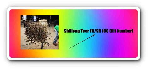Shillong Teer FR SR 100 Common Number for FREE .